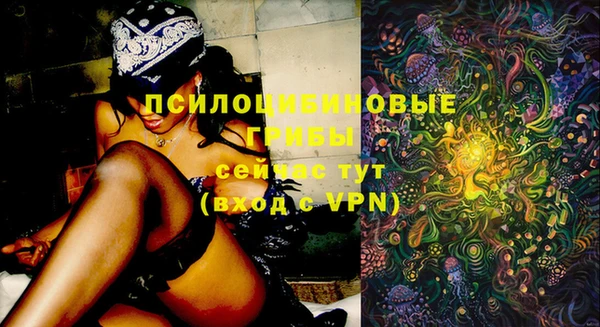 хмурый Переславль-Залесский