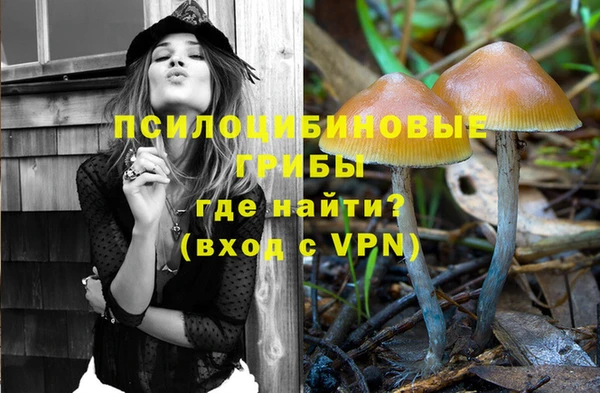 метадон Пестово